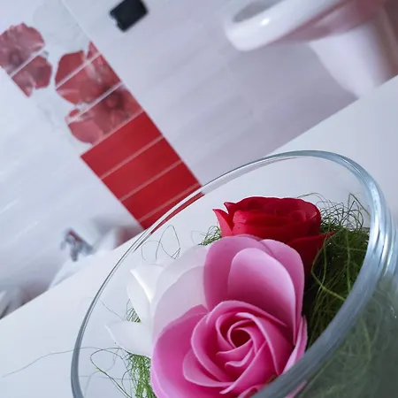 & Sail - Appartement Torri Del Benaco